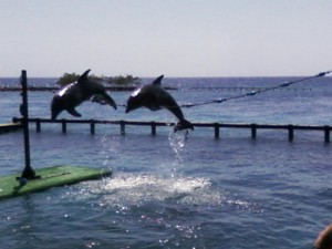 Foto-0004