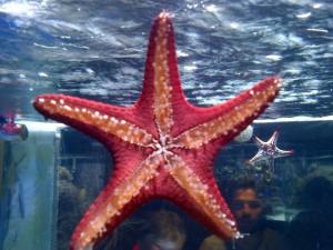 IMG-20120103-00045